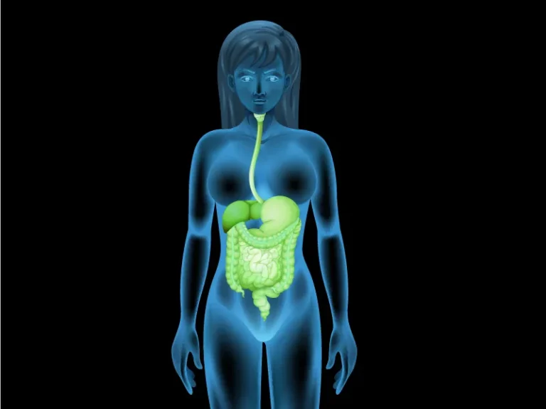 ניקוי מערכת העיכול - פותרים את הבעיה של בטן קשה ונפוחה