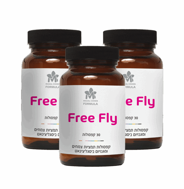 Free fly - תמיכה בגיל המעבר (3 יח׳)