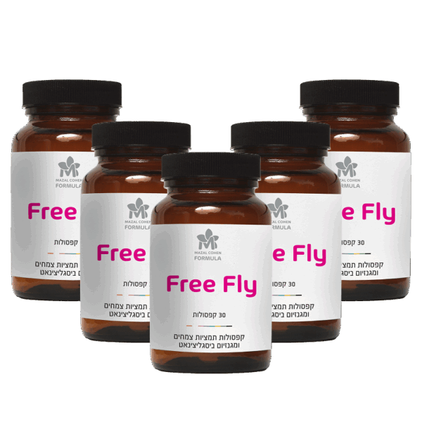 Free fly - תמיכה בגיל המעבר (5 יח׳)