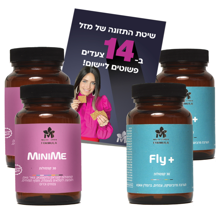 starter_mini-fly-booklet חבילות היכרות: שומן עודף, חשקים ואכילה בלתי נשלטת – תמונה 1