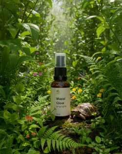 Mazal-Glow סרום עיניים על בסיס שמנים אתרים - 1 יח׳ – תמונה 4