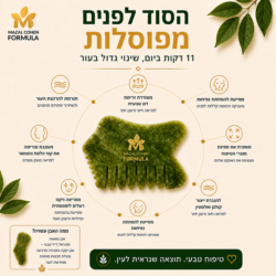 ⁦אבן גוואשה ממינראל Jade⁩ – תמונה ⁦6⁩