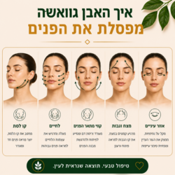⁦אבן גוואשה ממינראל Jade⁩ – תמונה ⁦4⁩