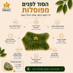 אבן גוואשה לפיסול הפנים