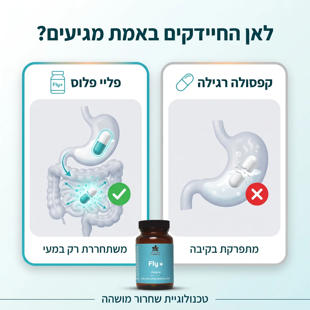 לאן החיידקים באמת מגיעים: קפסולה רגילה מתפרקת בקיבה, פליי פלוס משתחררת רק במעי