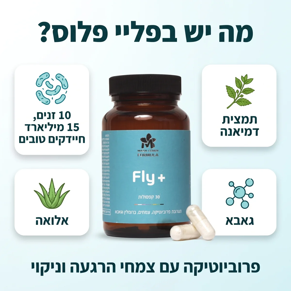 מה יש בפליי פלוס: תמצית דמיאנה, 10 זנים ו 15 מיליארד חיידקים טובים, אלואה, גאבא