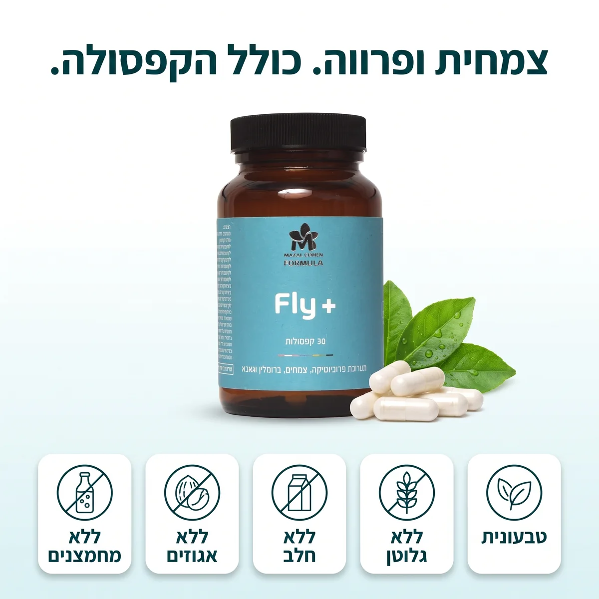 צמחית ופרווה כולל הקפסולה: טבעונית, ללא גלוטן, ללא חלב, ללא אגוזים, ללא מחמצנים